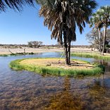 Onguma Bush Camp