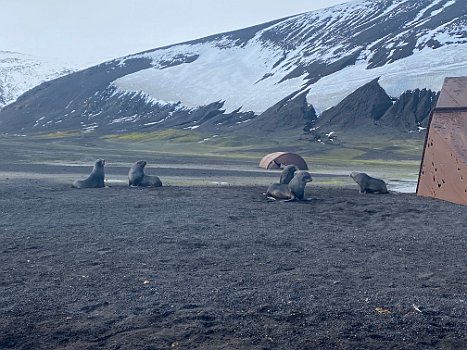 Deception Island