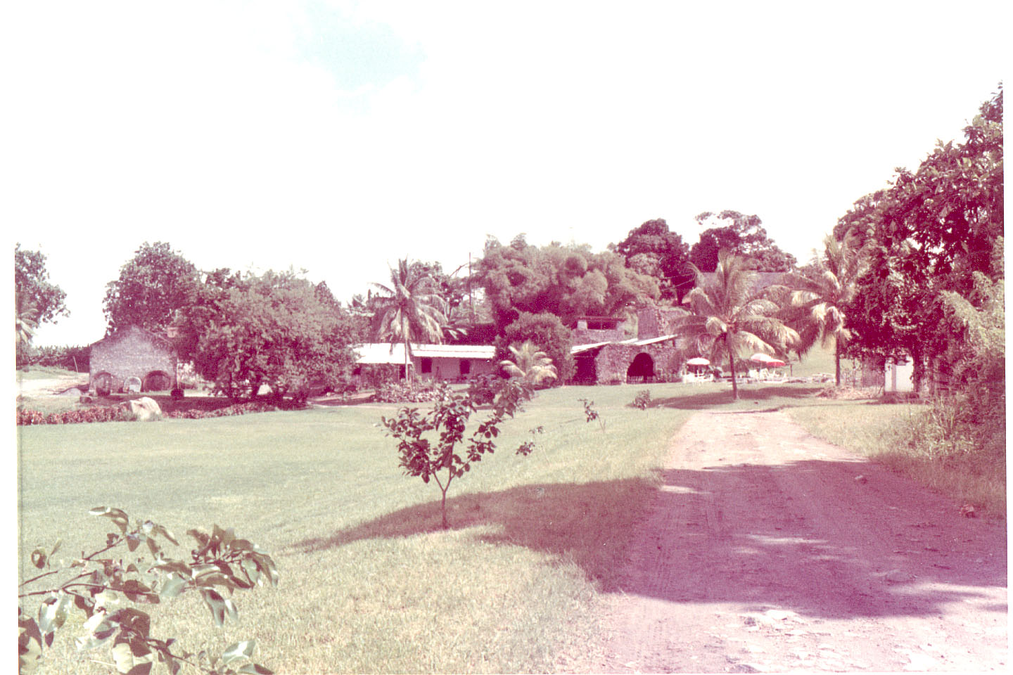 28.jpg, Plantation
Martinique