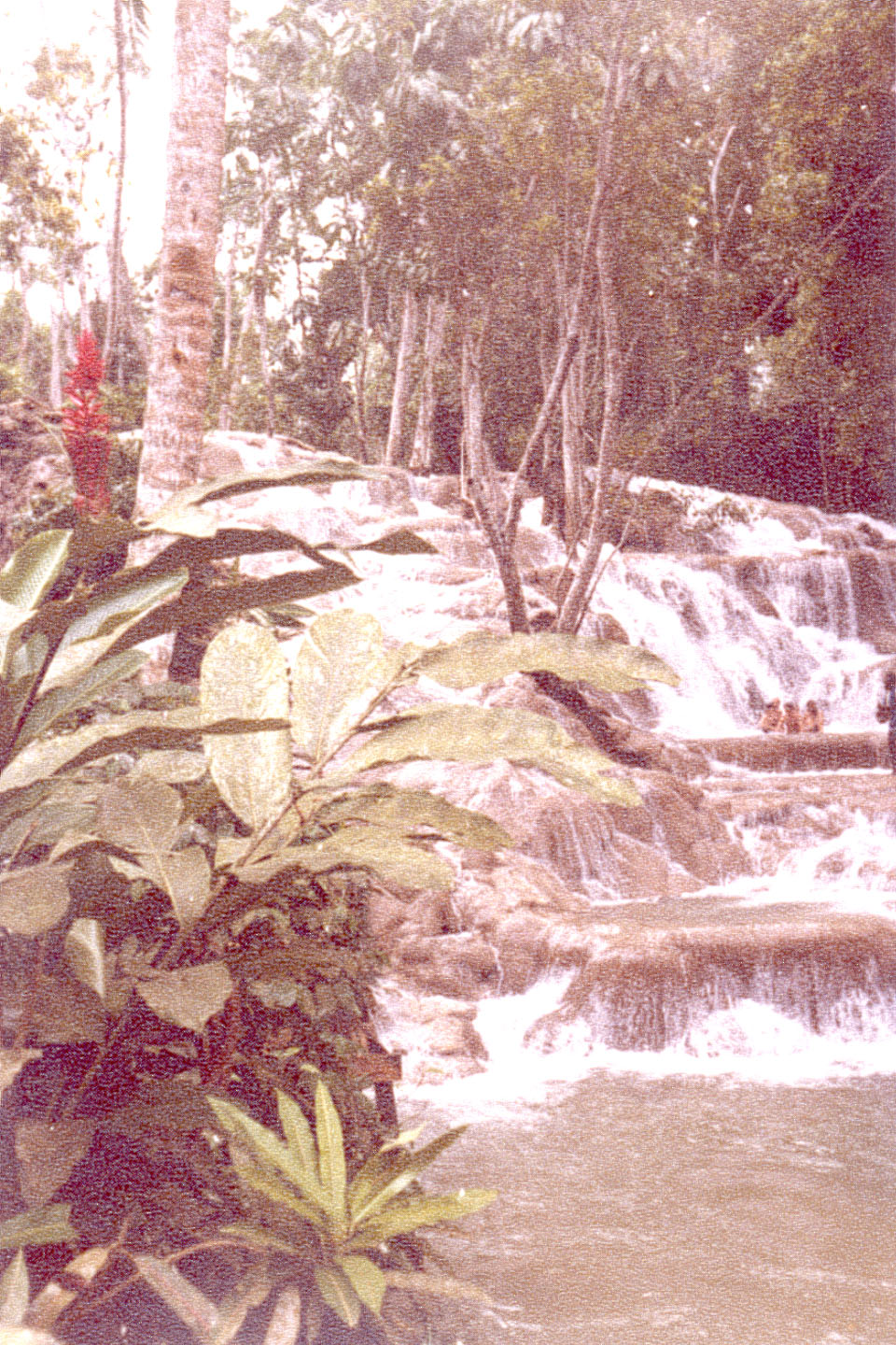 13.jpg, Dunns Falls
Jamaica