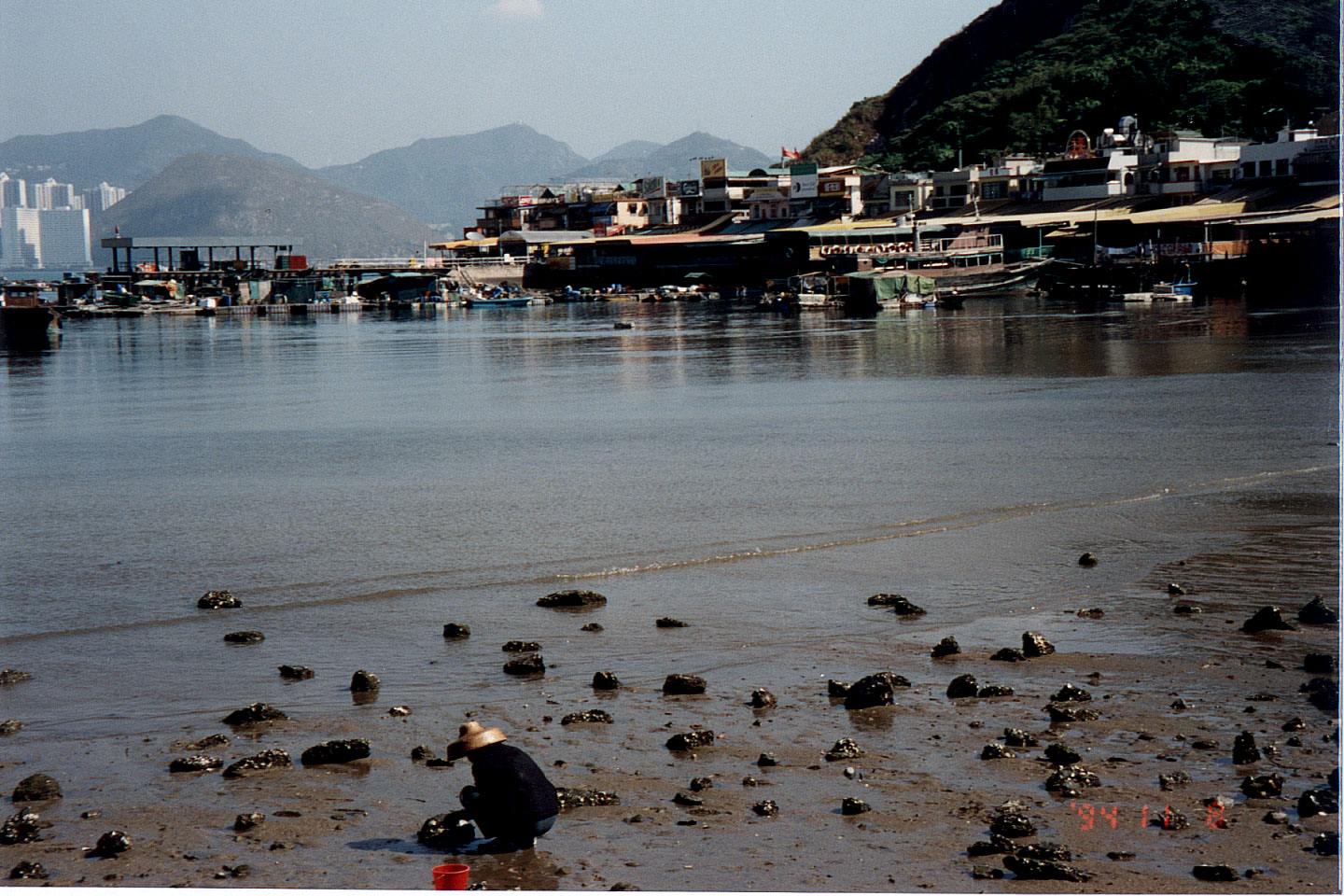 027.jpg, Lamma