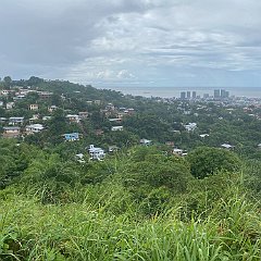 IMG 8508