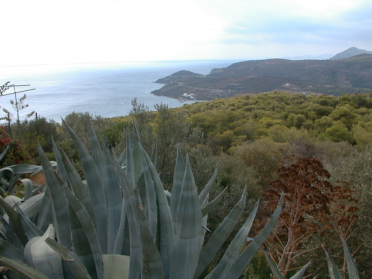 1-039.jpg