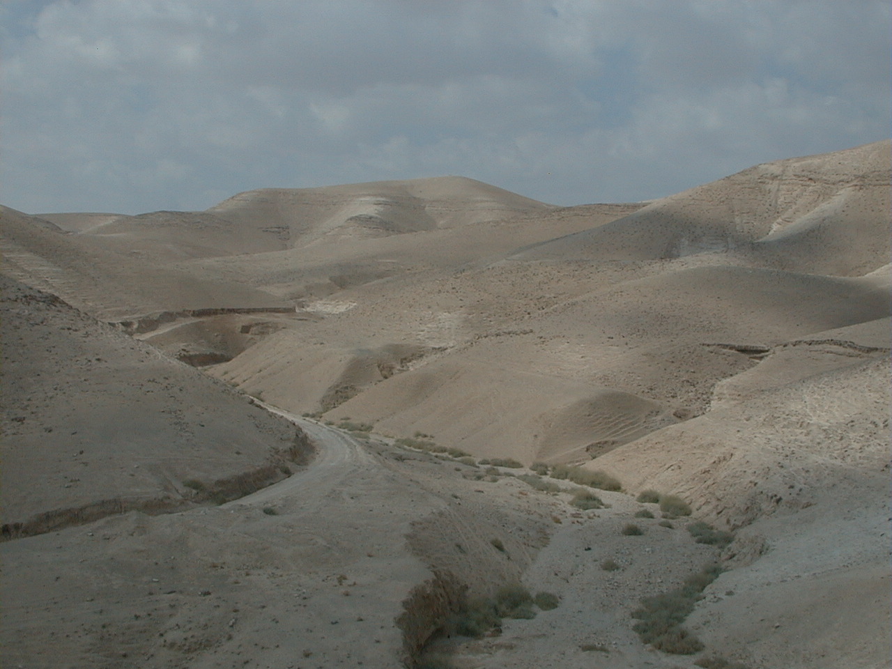 1-114.jpg