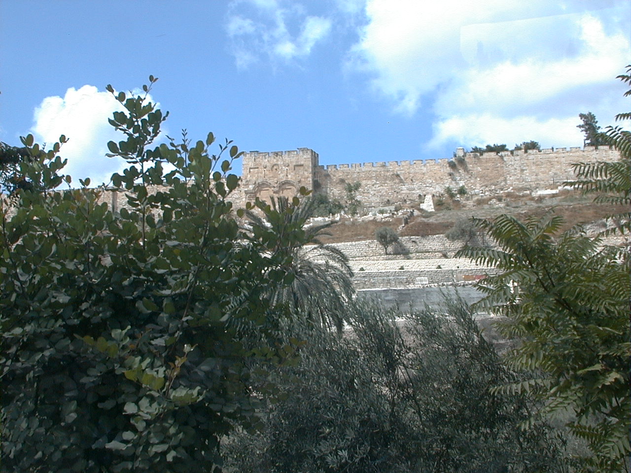 1-156.jpg