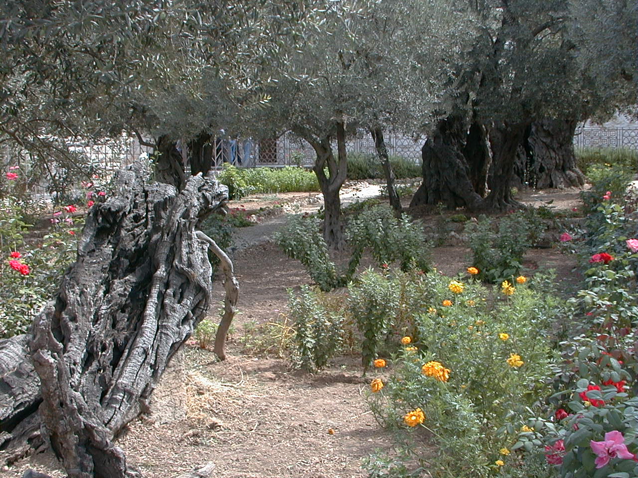 1-157.jpg