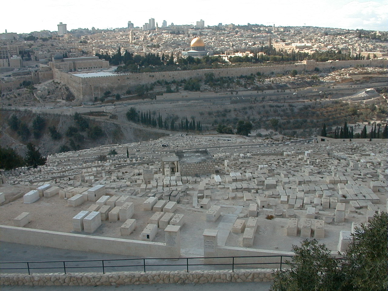 2-011.jpg