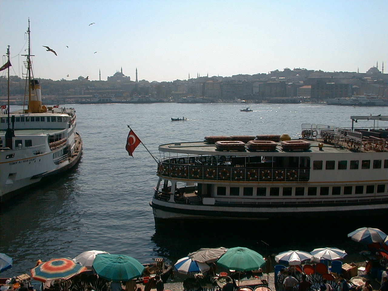 2-118.jpg
