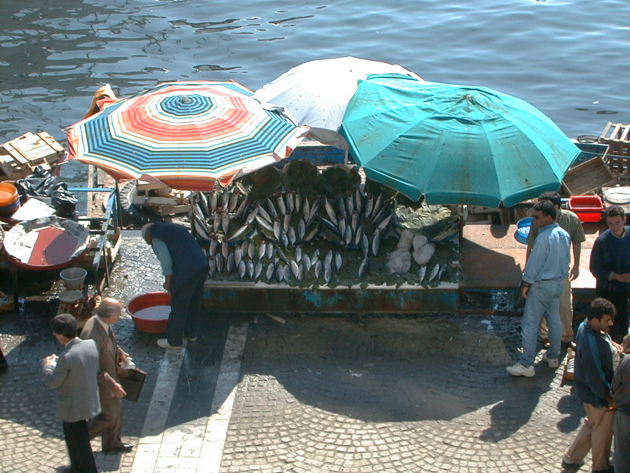 2-119.jpg