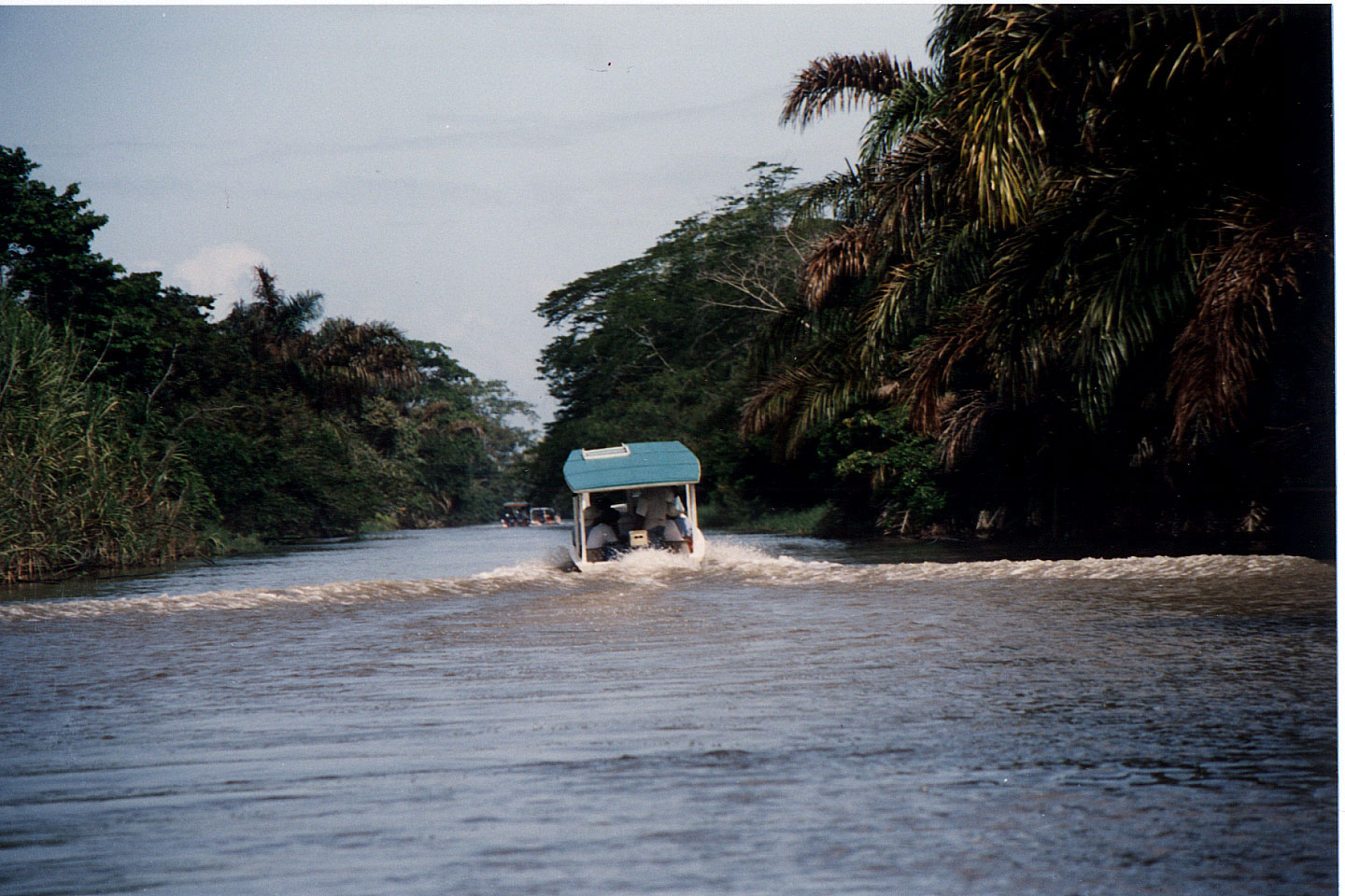 146.jpg, Boat trip, near Limon
Costa Rica