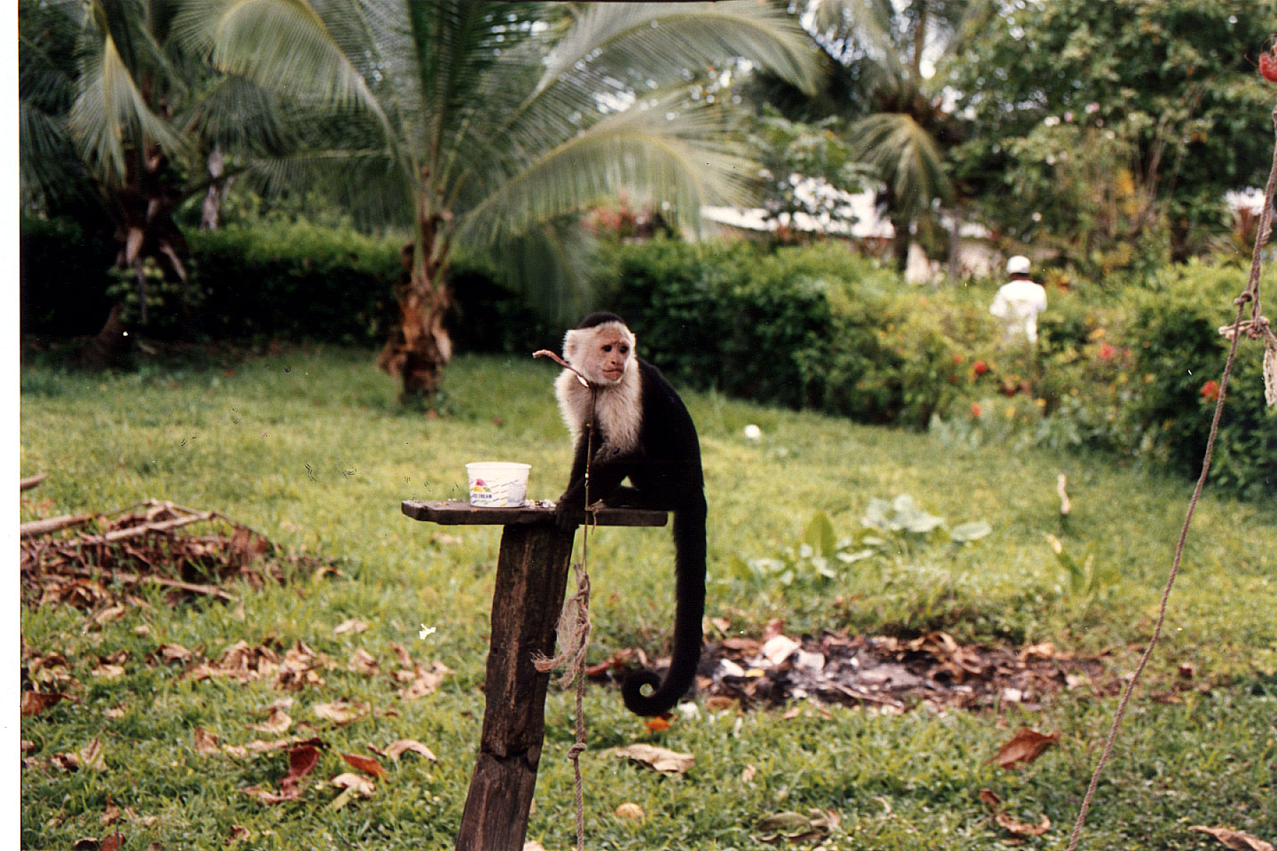 148.jpg, Lunch, near Limon
Costa Rica