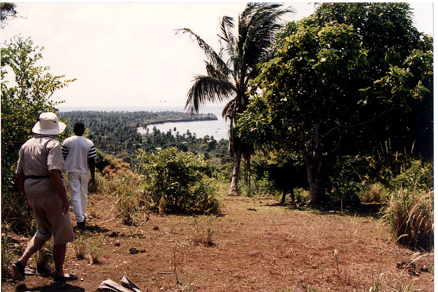 160.jpg, Little Corn Island
Nicaragua