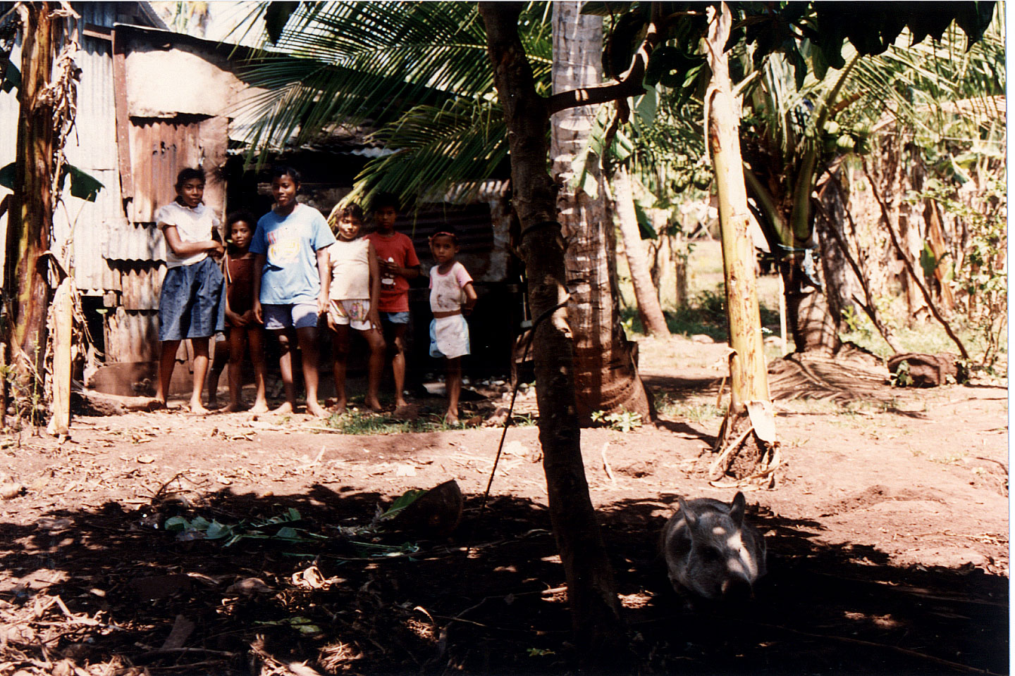 162.jpg, Little Corn Island
Nicaragua