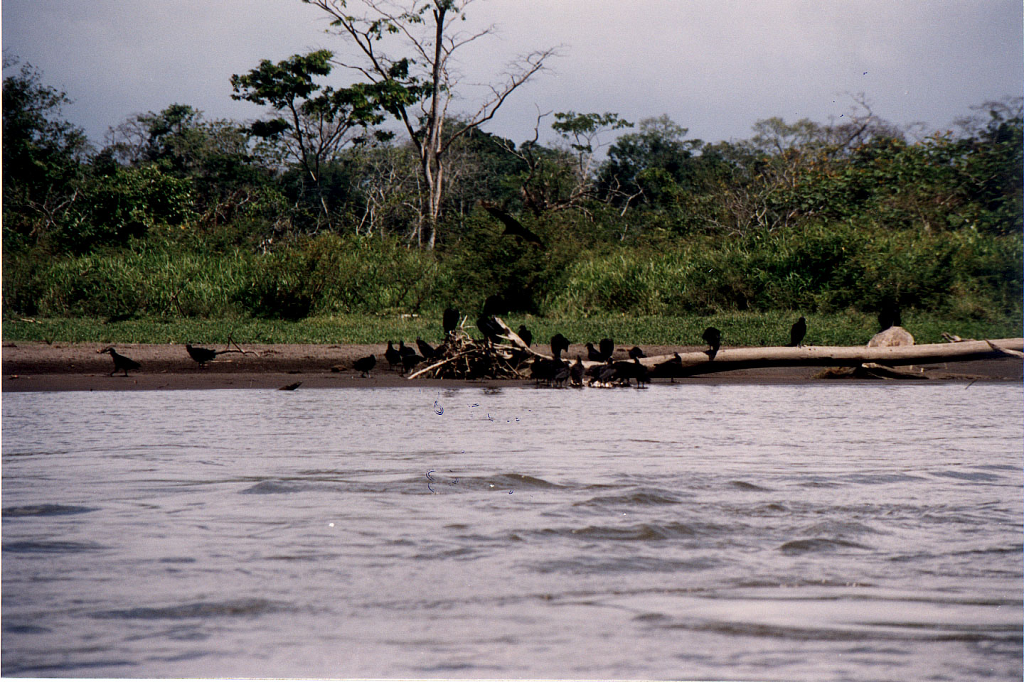 179.jpg, Bing's beach