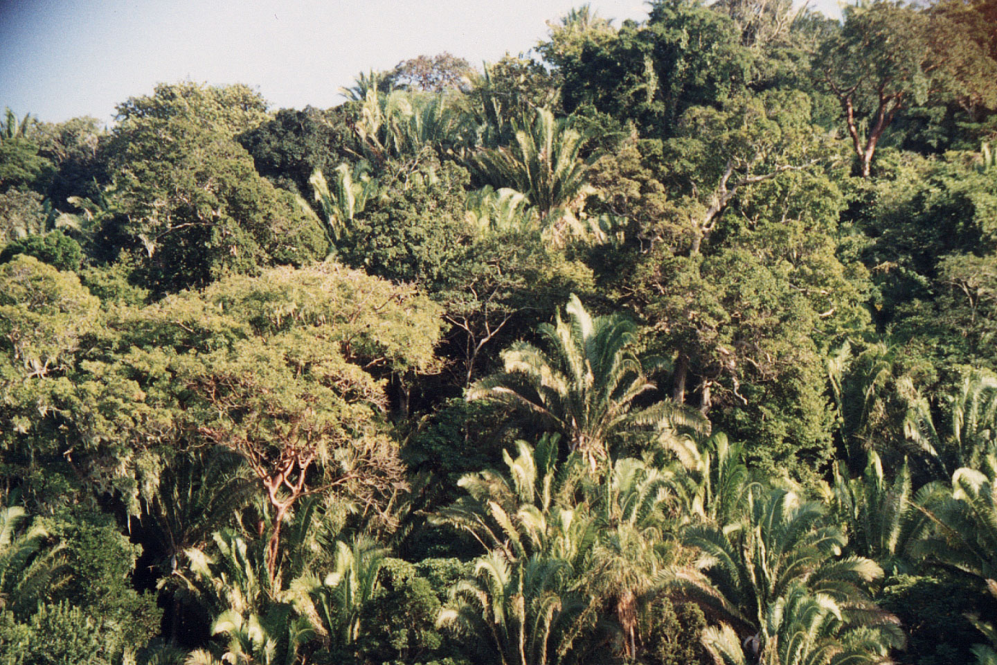 230.jpg, Rio Tinto River
Honduras