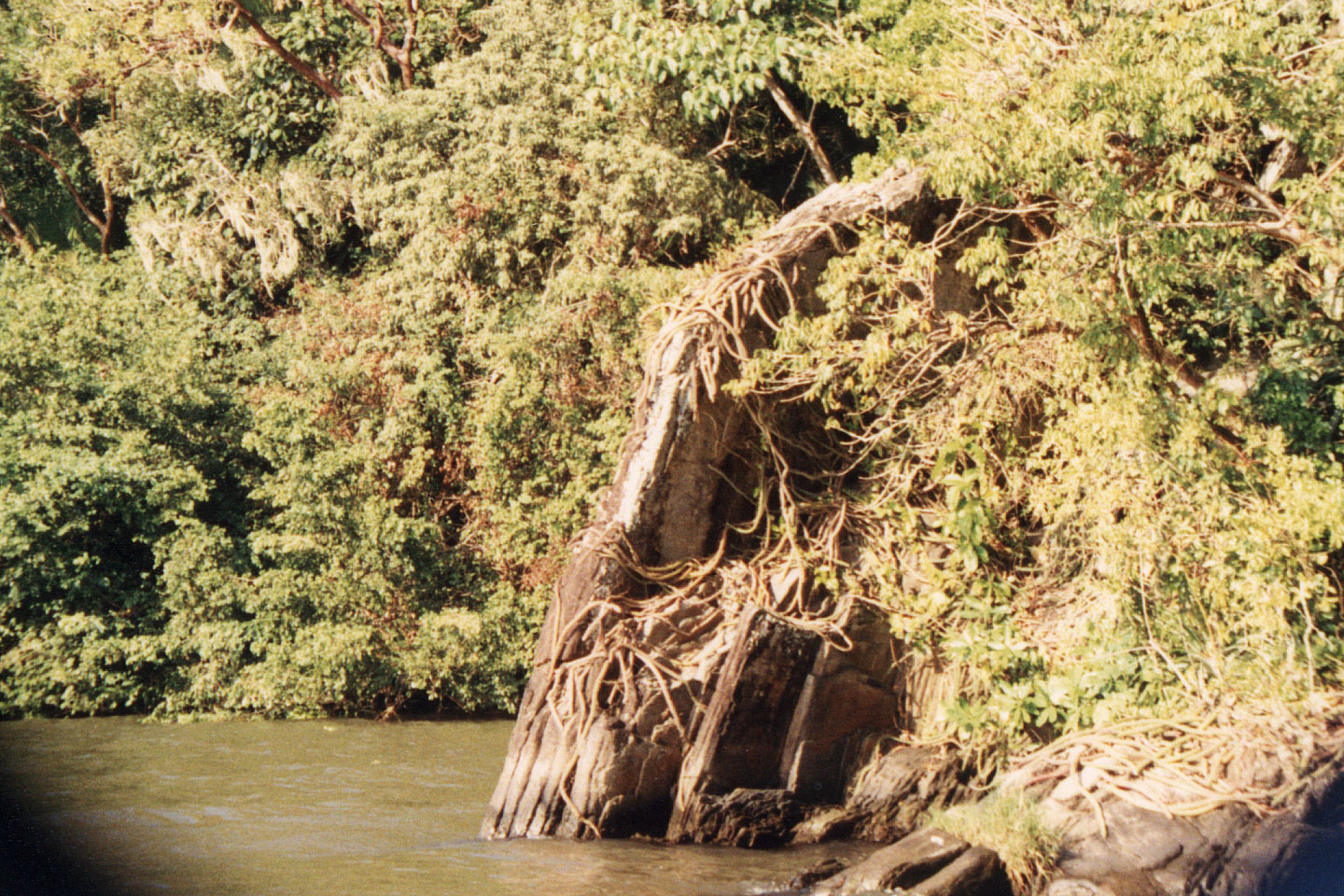 231.jpg, Rio Tinto River
Honduras