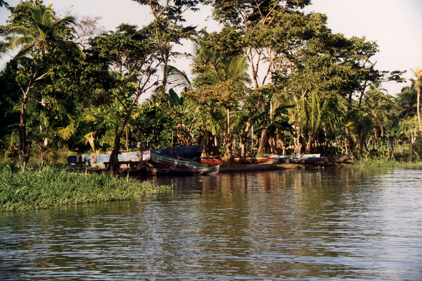 233.jpg, Rio Tinto River
Honduras