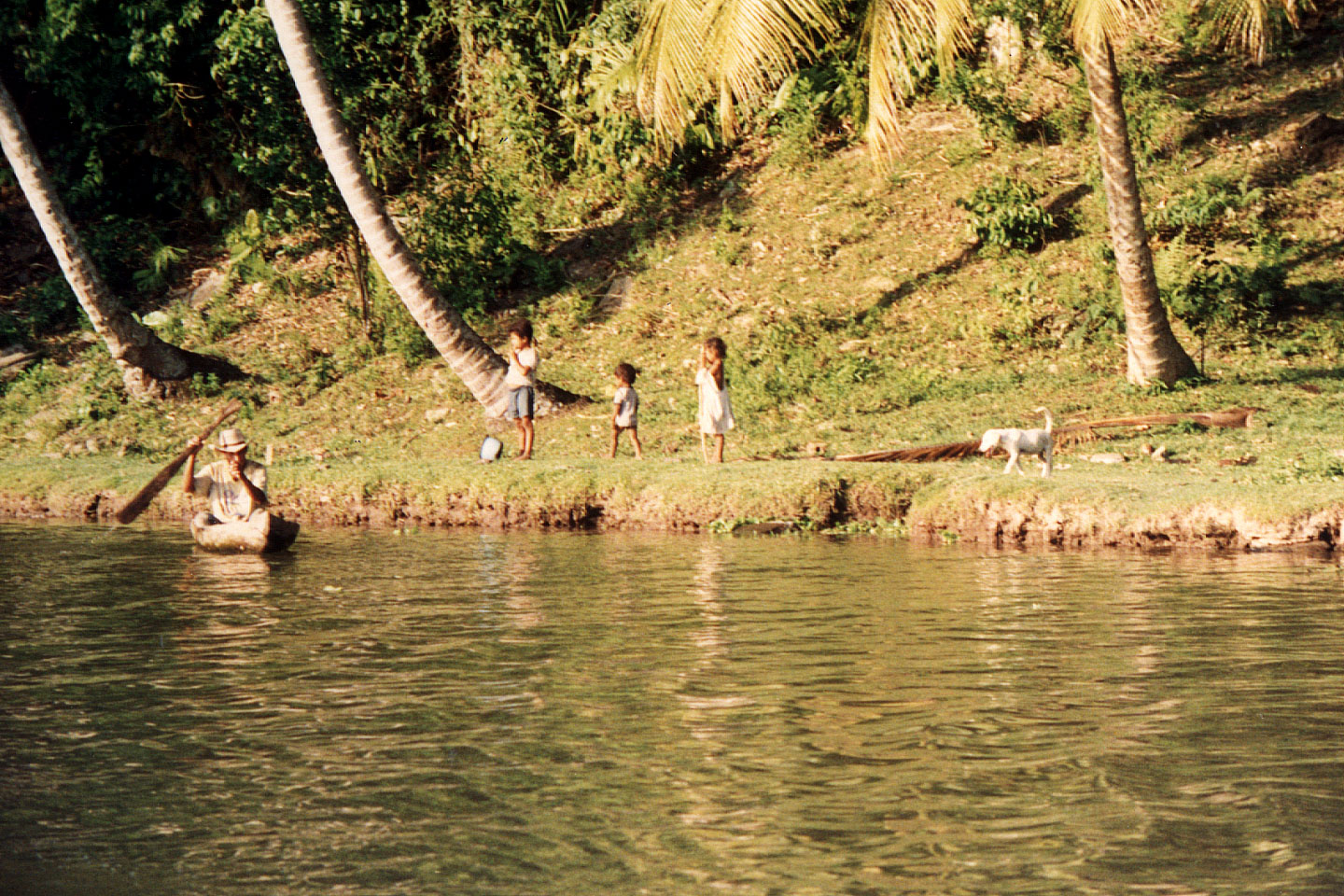 237.jpg, Rio Tinto River
Honduras