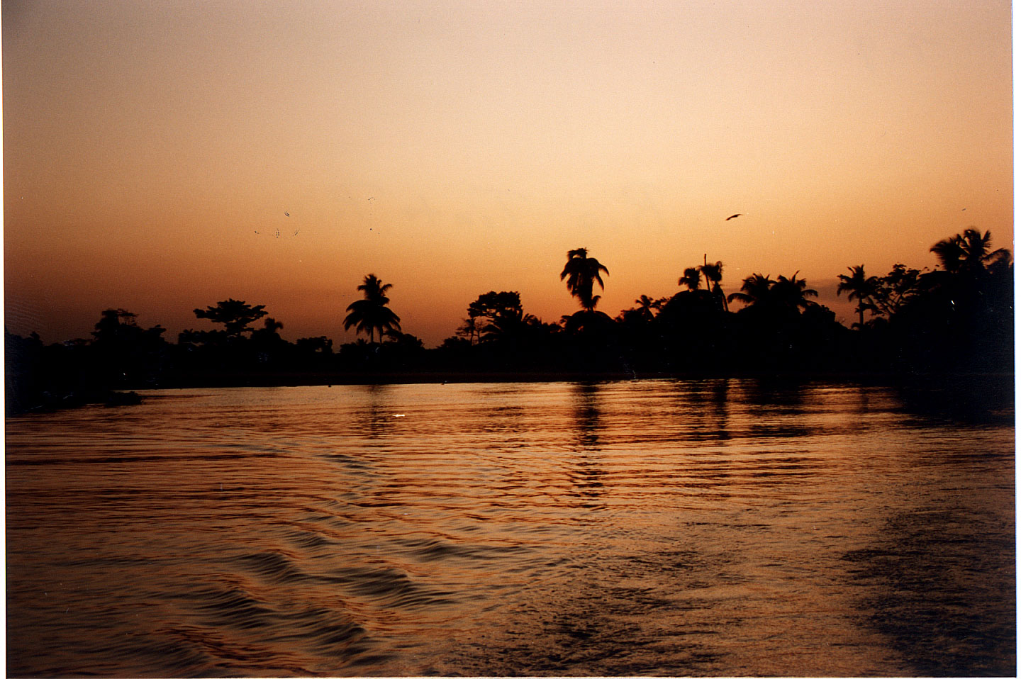 249.jpg, Rio Tinto River
Honduras