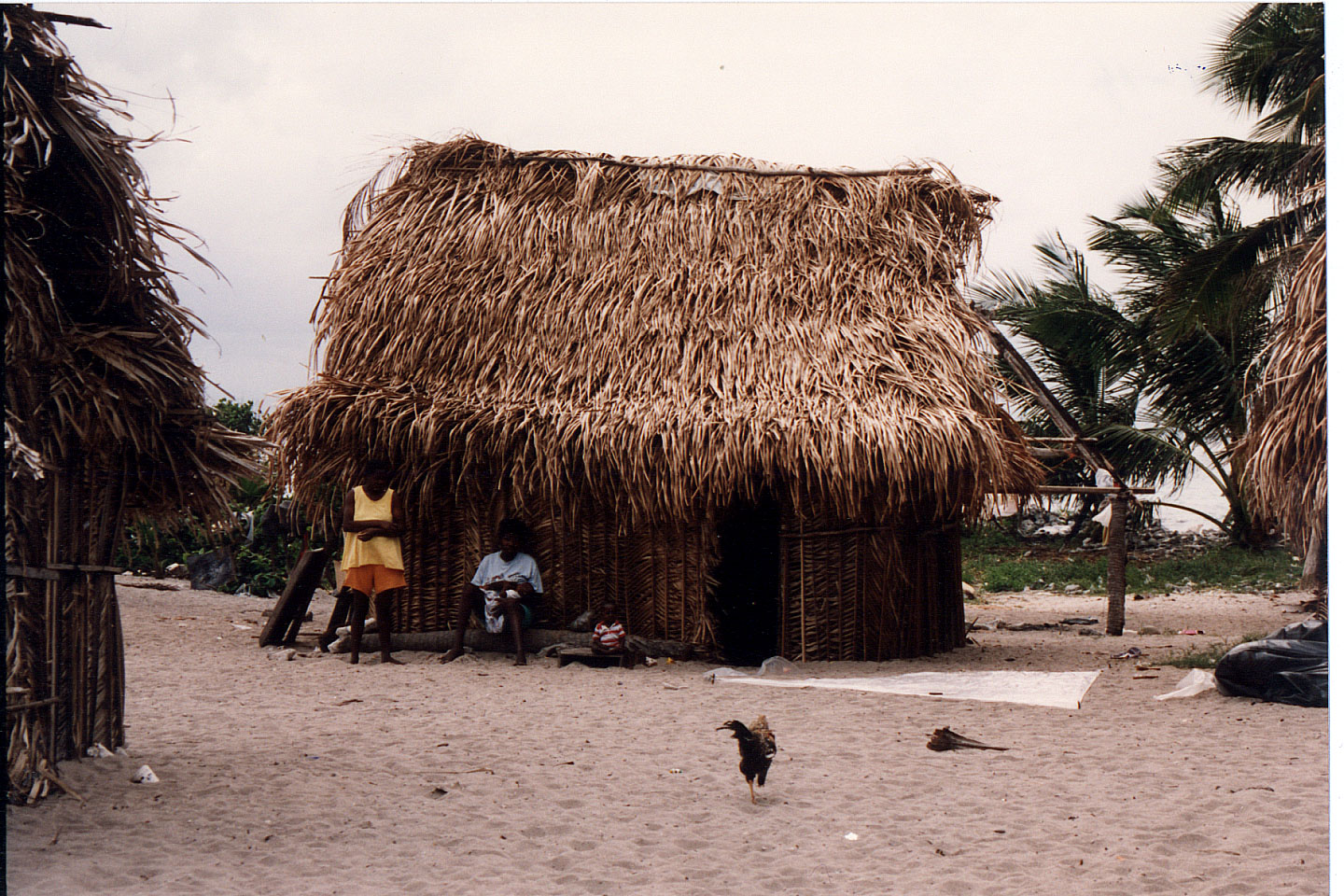 254.jpg, Honduran Island