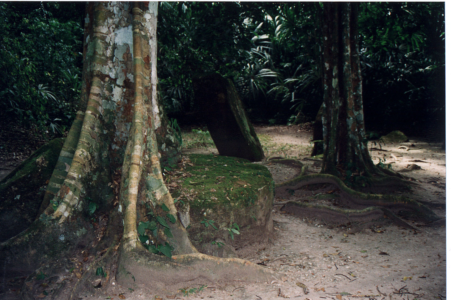 290.jpg, Tikal
Guatemala