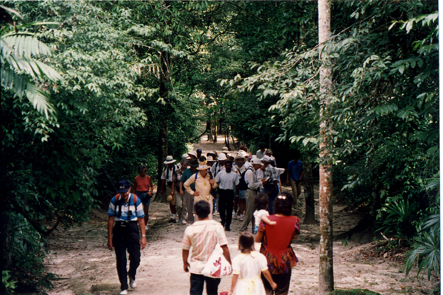 291.jpg, Tikal
Guatemala