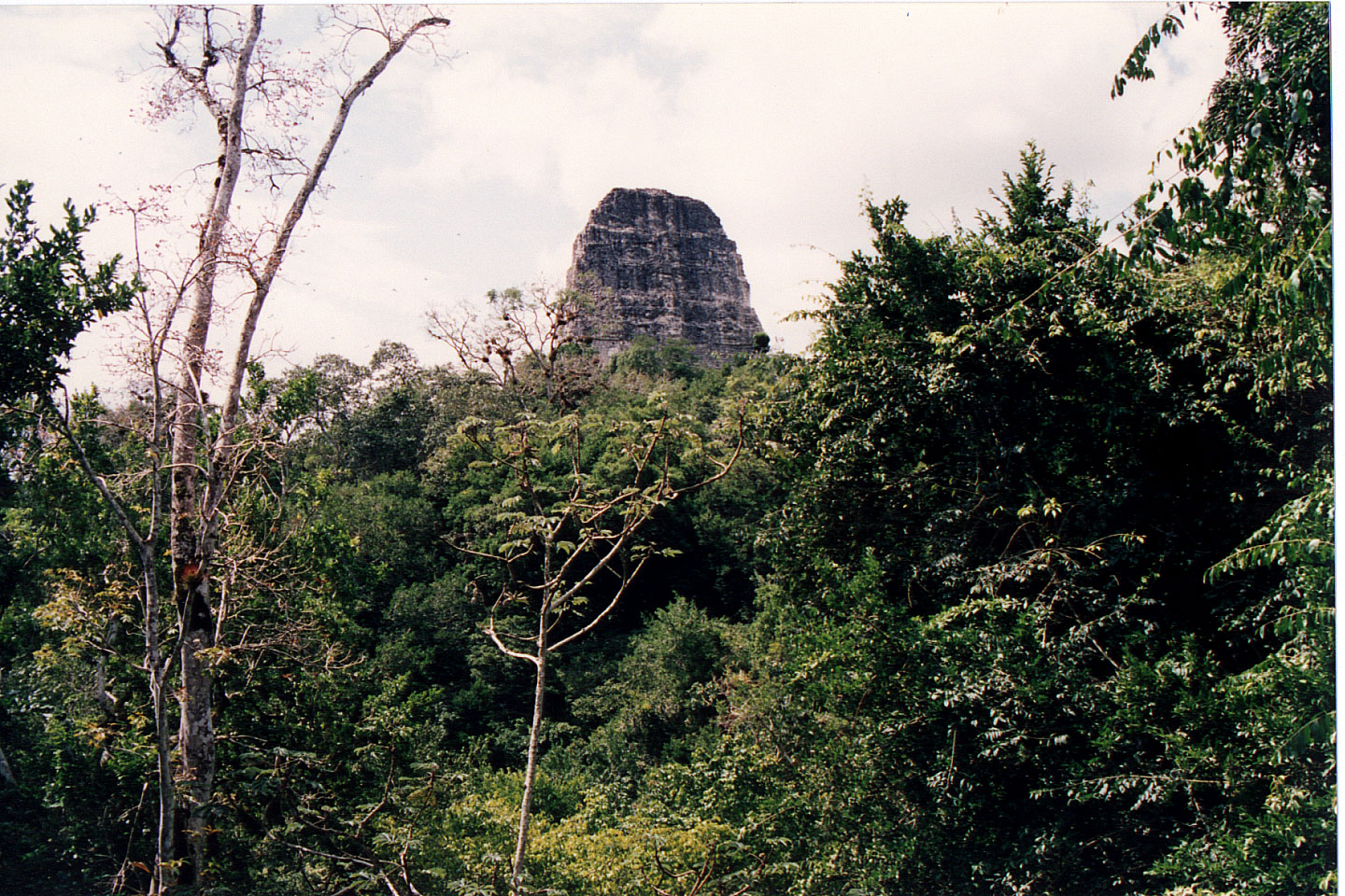 299.jpg, Tikal
Guatemala