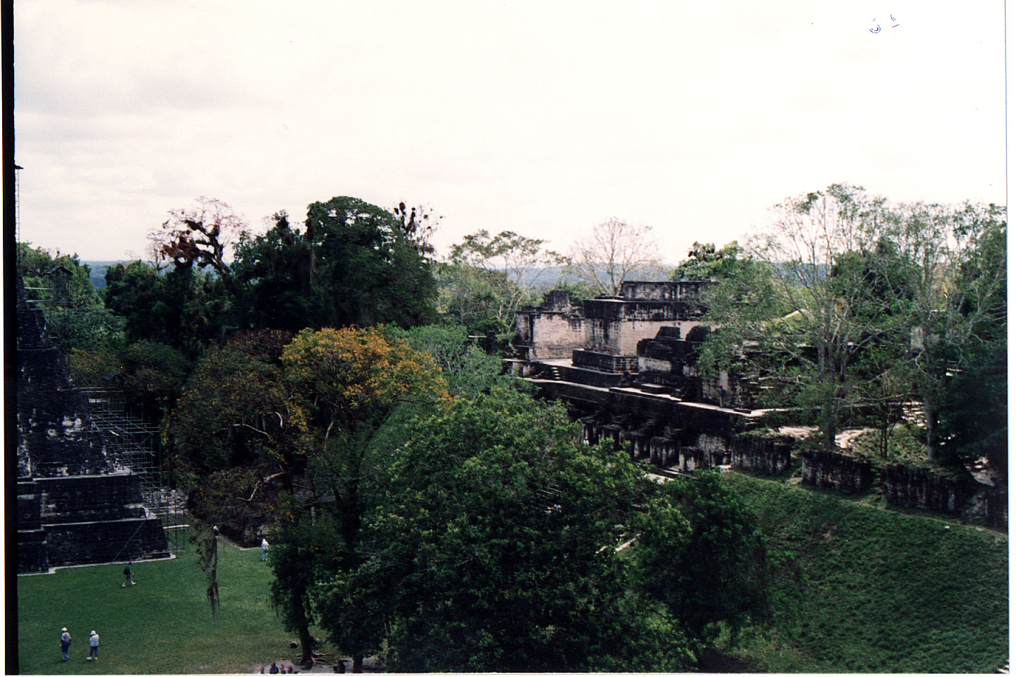 305.jpg, Tikal
Guatemala