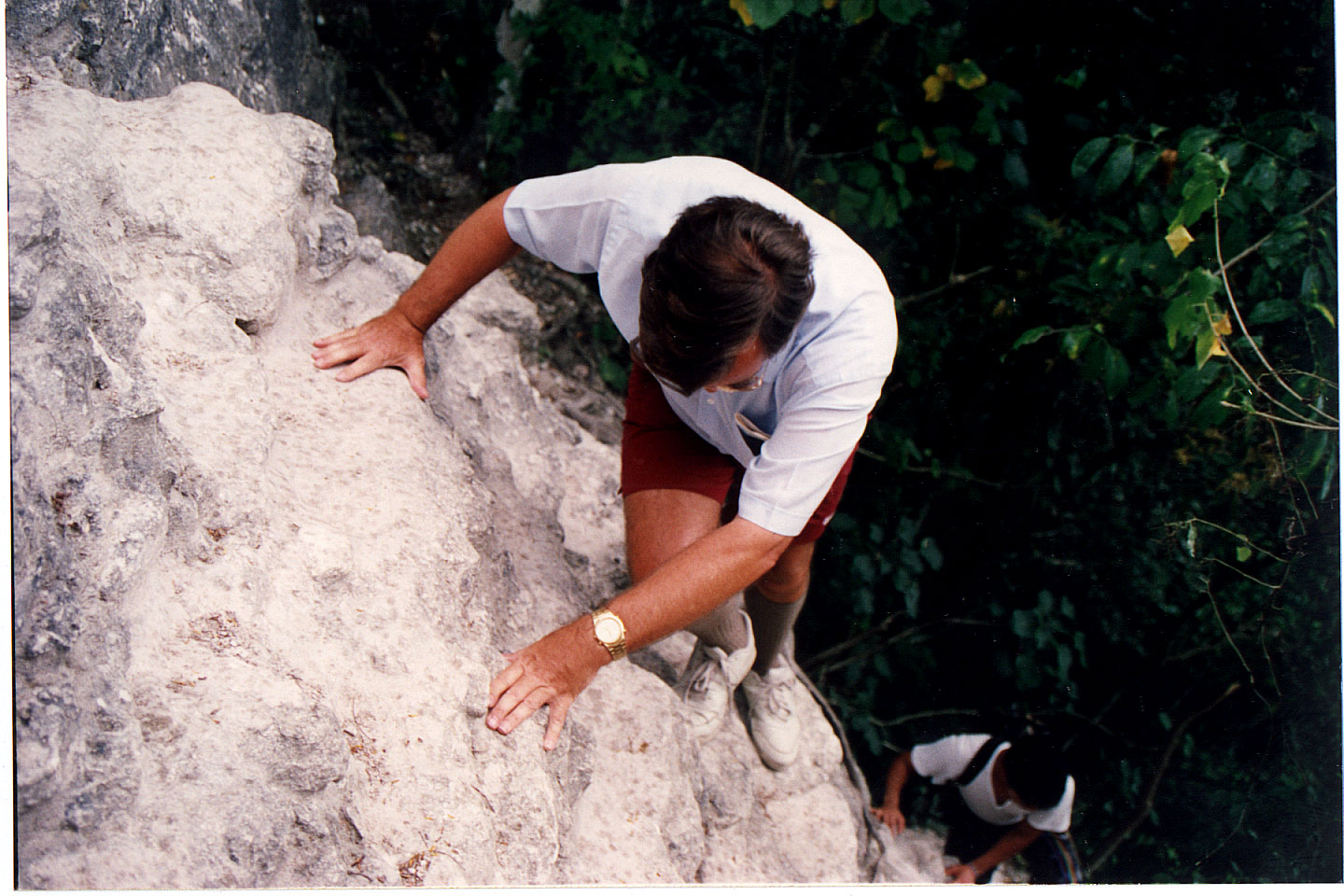 309.jpg, Temple #3
Tikal