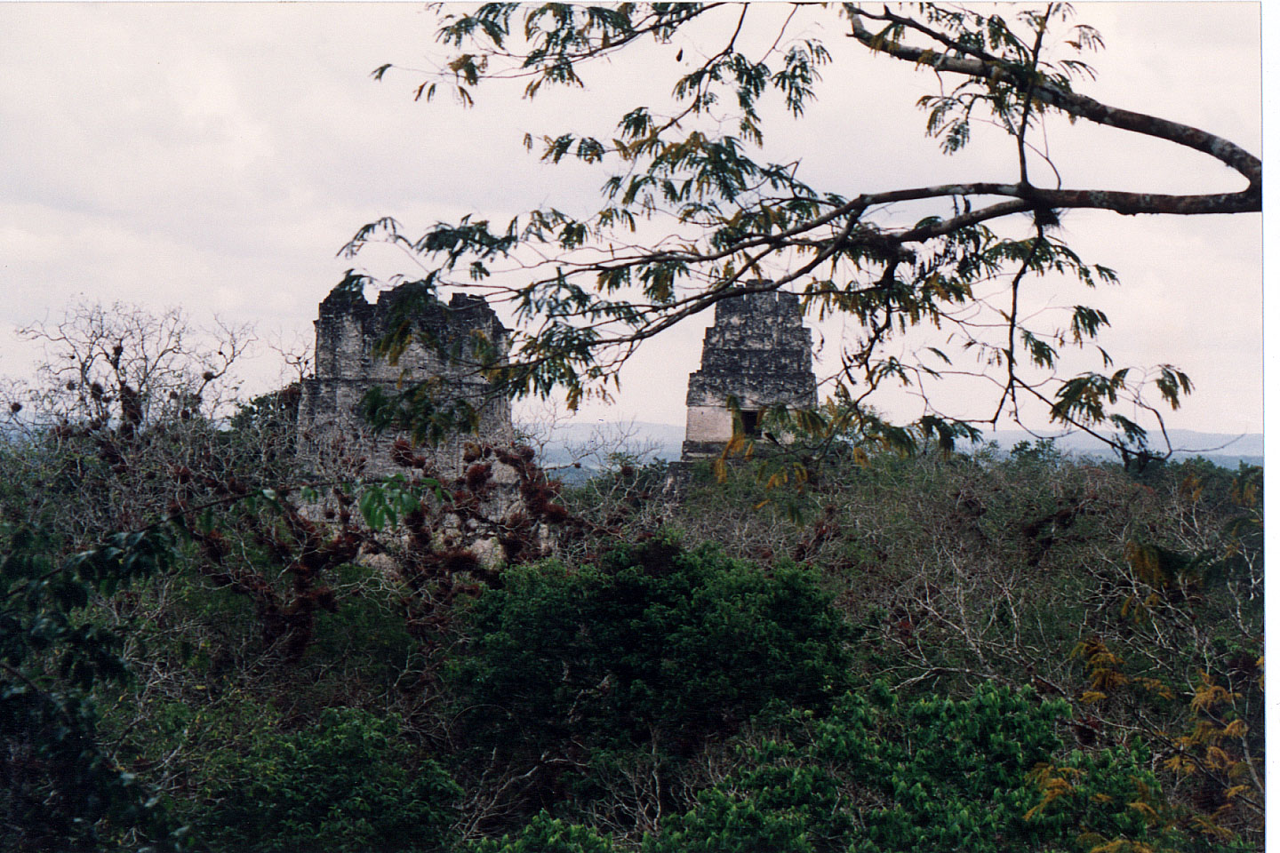 310.jpg, Tikal
Guatemala