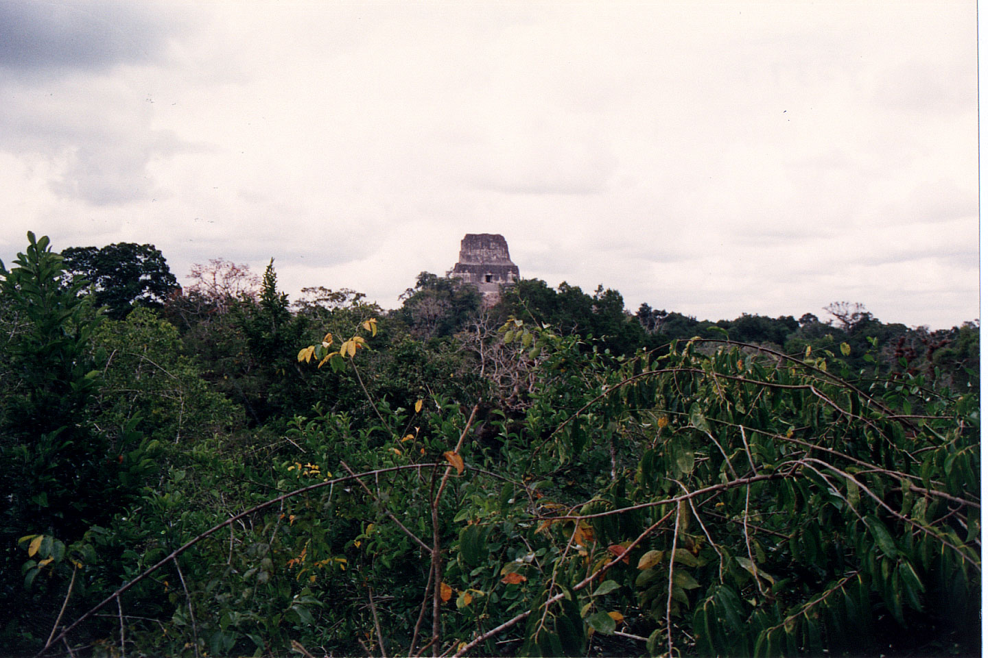 311.jpg, Tikal
Guatemala