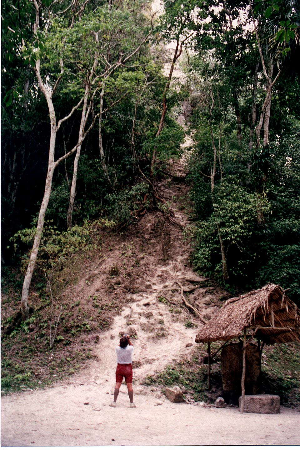 312.jpg, Tikal
Guatemala