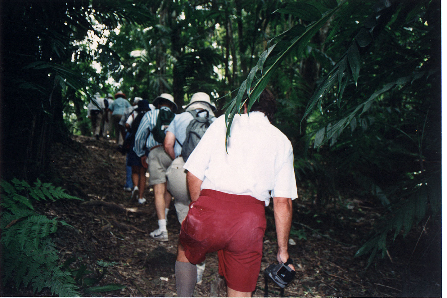 313.jpg, Tikal
Guatemala