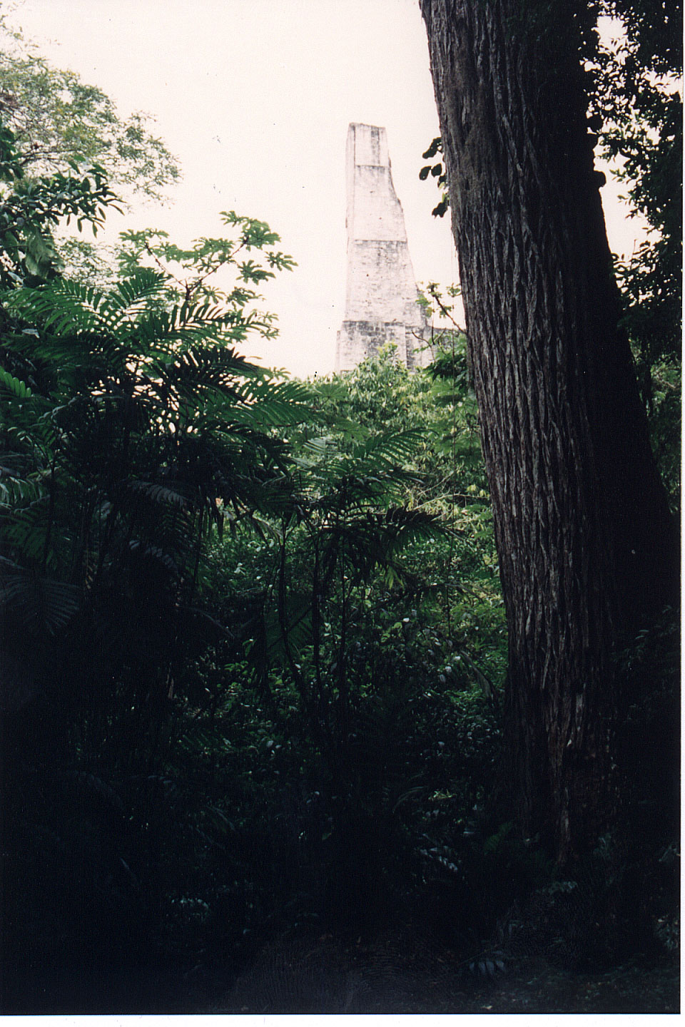 314.jpg, Tikal
Guatemala