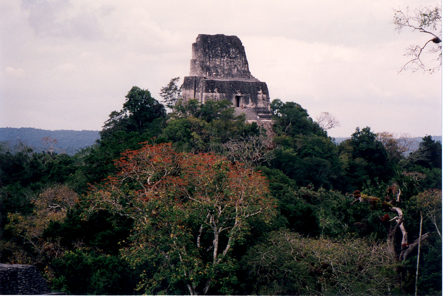 316.jpg, Tikal
Guatemala