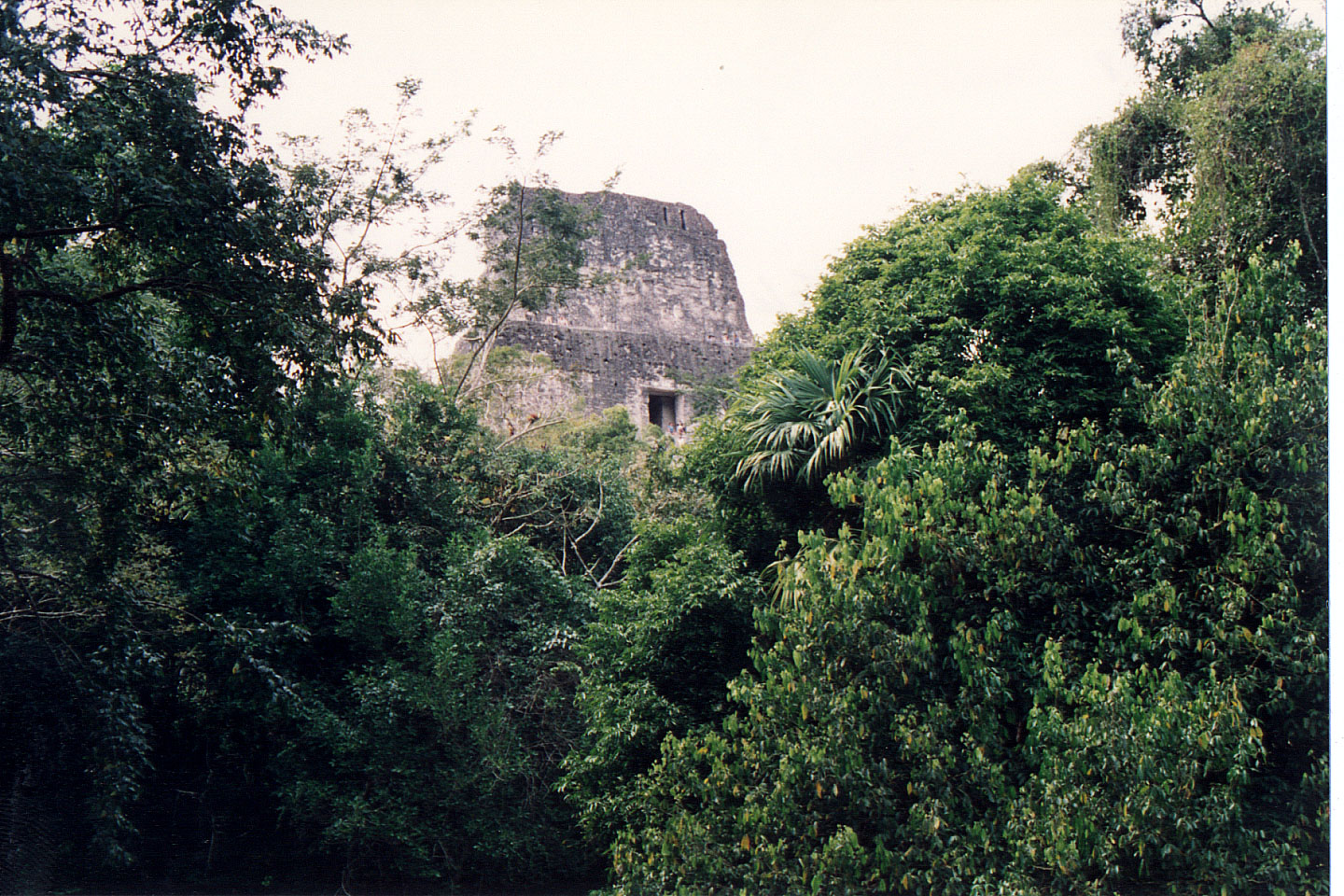 318.jpg, Tikal
Guatemala