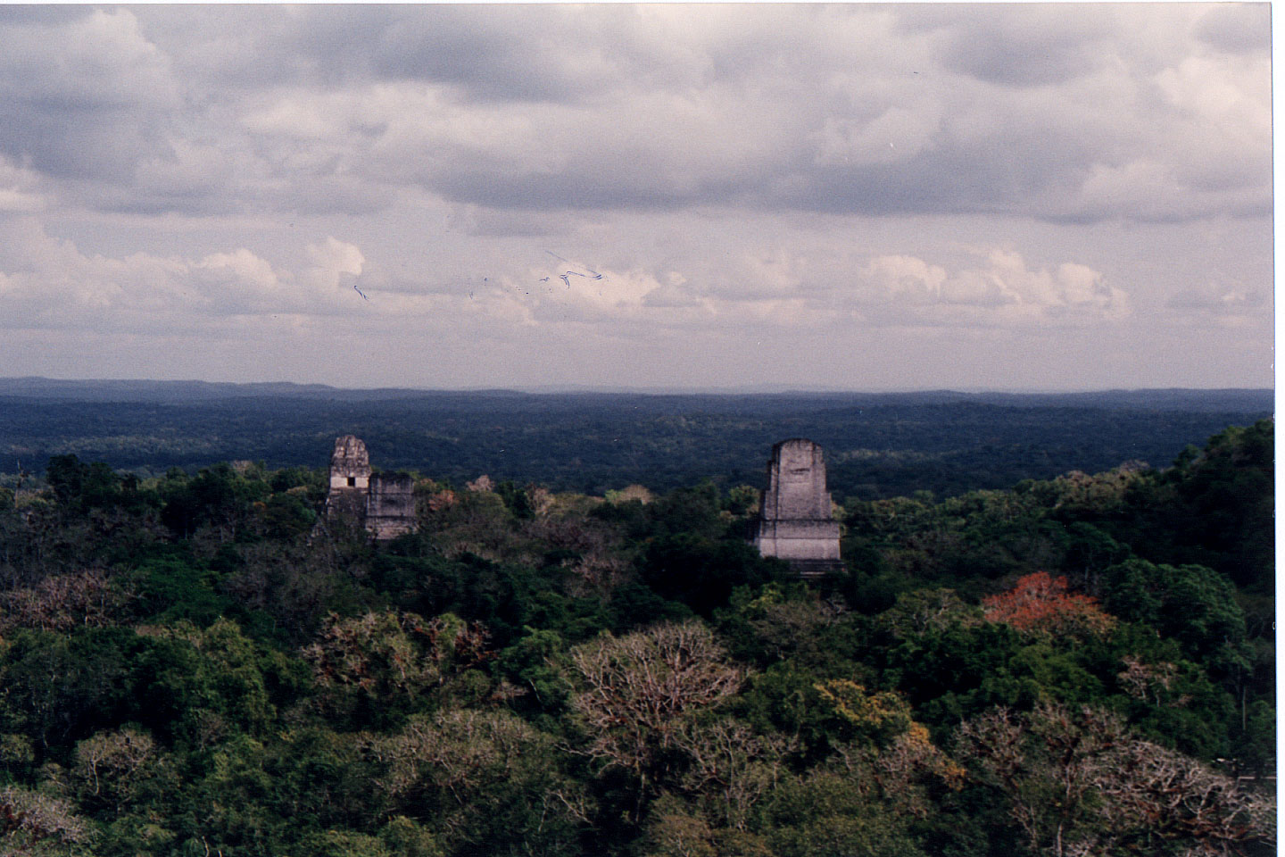 323.jpg, Temple #4
Tikal