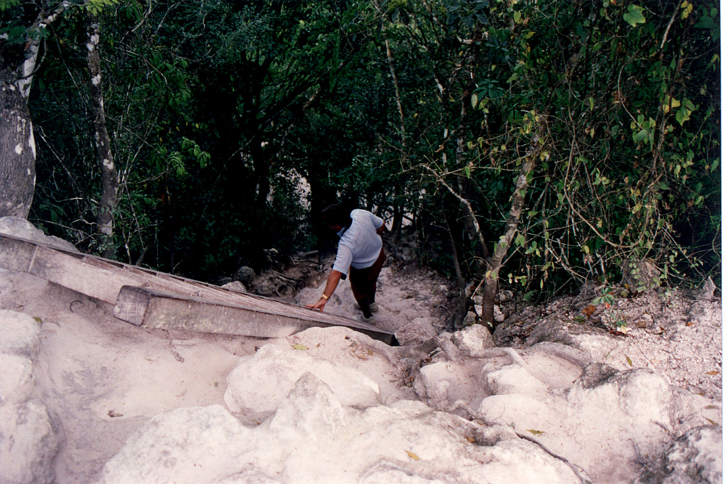 328.jpg, Temple #4
Tikal