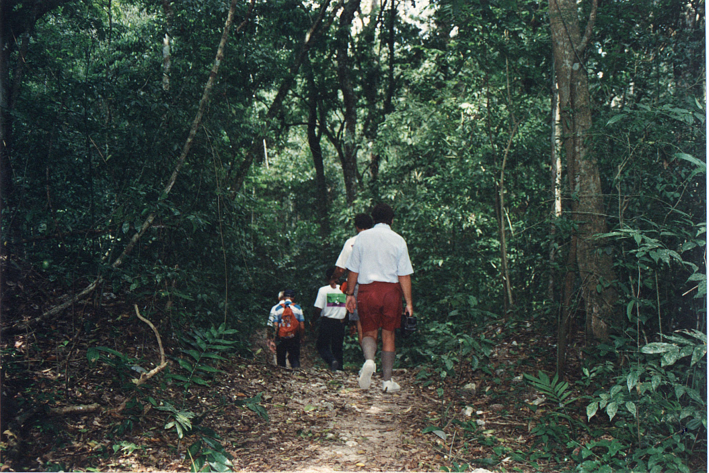 332.jpg, Tikal
Guatemala