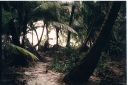 _262.jpg, Halk Moon Cay
Belize