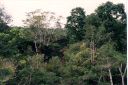 _287.jpg, Tikal
Guatemala