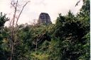 _299.jpg, Tikal
Guatemala