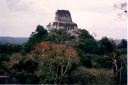 _316.jpg, Tikal
Guatemala