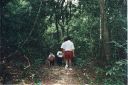 _332.jpg, Tikal
Guatemala