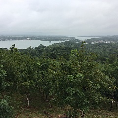 201712-0080 Hike in Guatemala rain forest