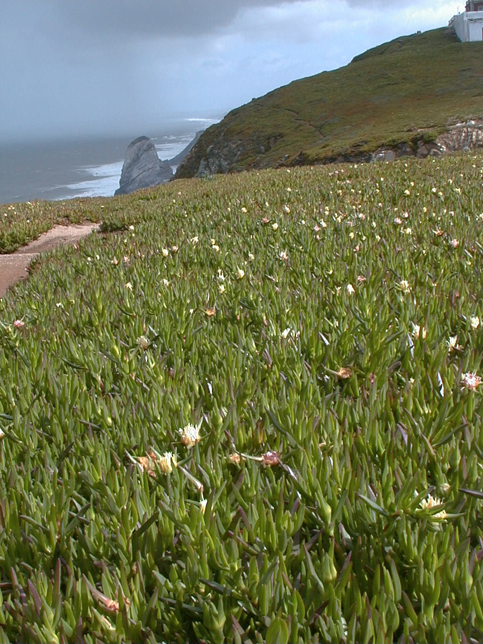 049.jpg, Cape Roca
Portugal