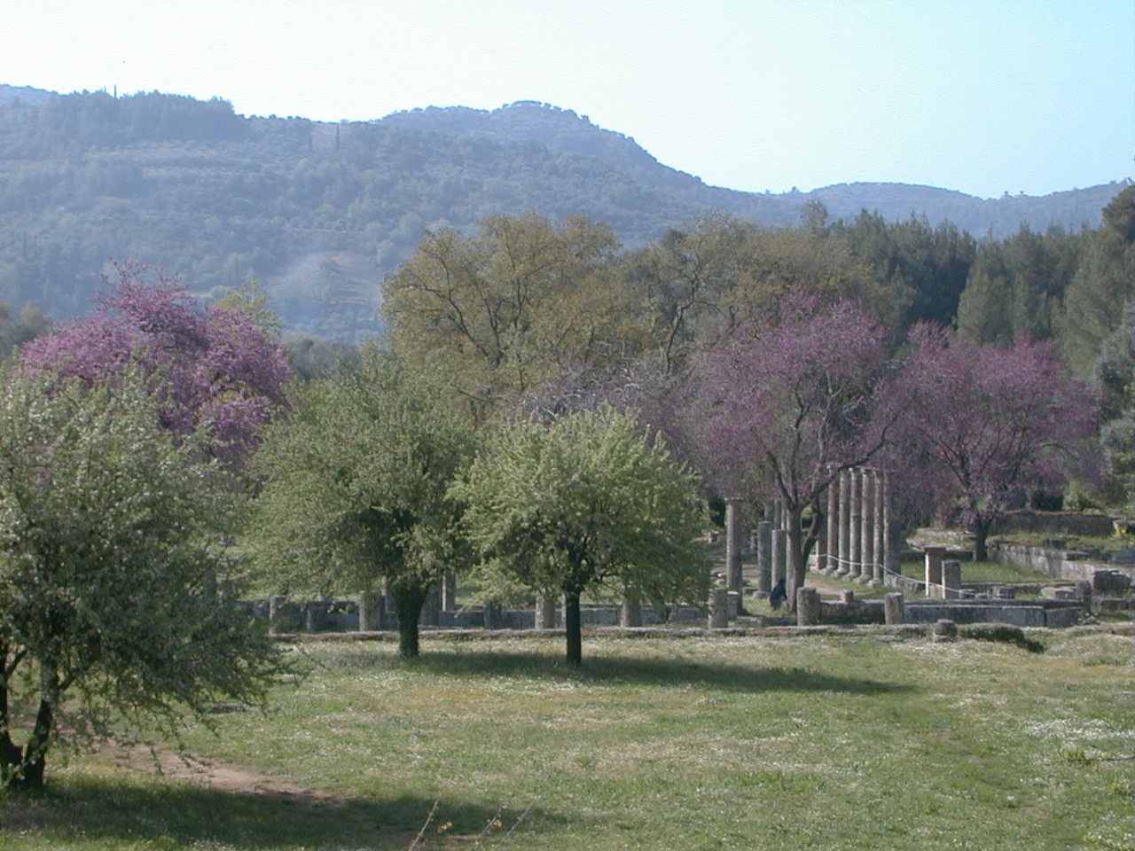 177.jpg, Olympia
Greece