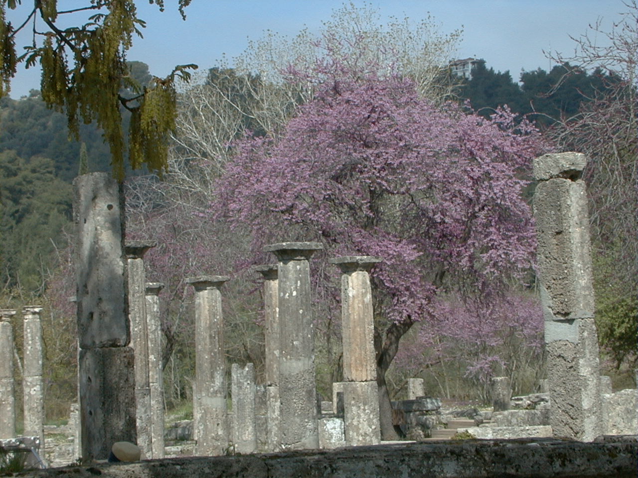 179.jpg, Olympia
Greece