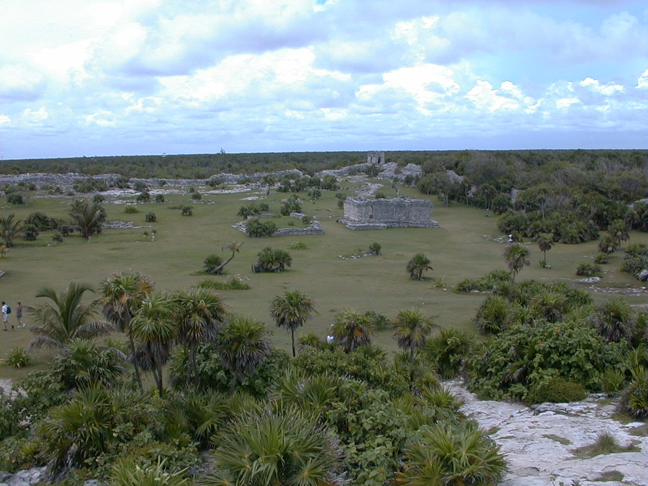 mx038.jpg