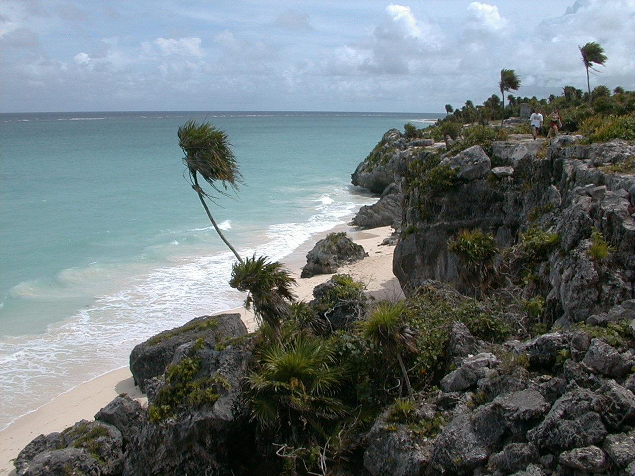 mx043.jpg
